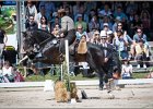 Pferd International 181